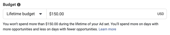 Lifetime Budgets